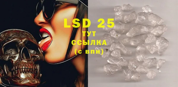 PSILOCYBIN Нея