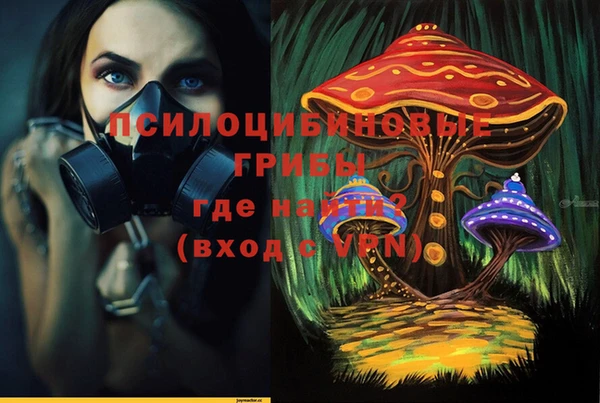 PSILOCYBIN Нея