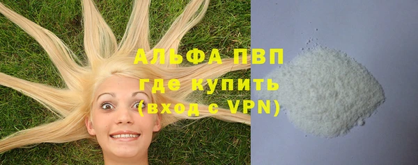 PSILOCYBIN Нея