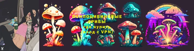 Псилоцибиновые грибы Magic Shrooms  где купить наркоту  Саки 