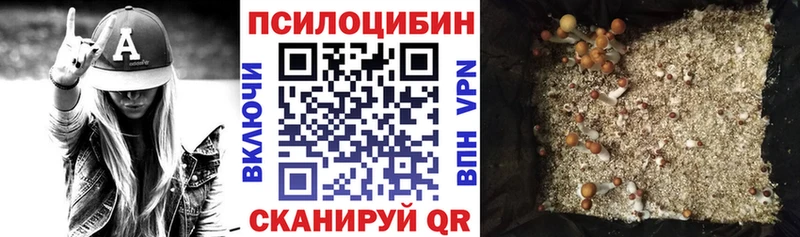hydra ТОР Саки Галлюциногенные грибы Cubensis