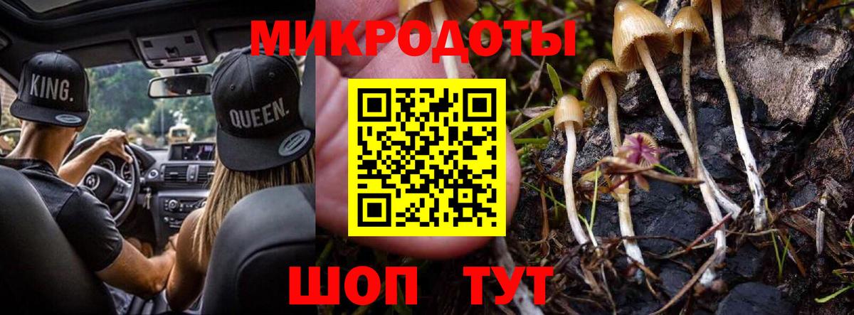 Псилоцибиновые грибы мухоморы  сколько стоит  Вход с VPN  Саки  Галлюциногенные грибы Cubensis 